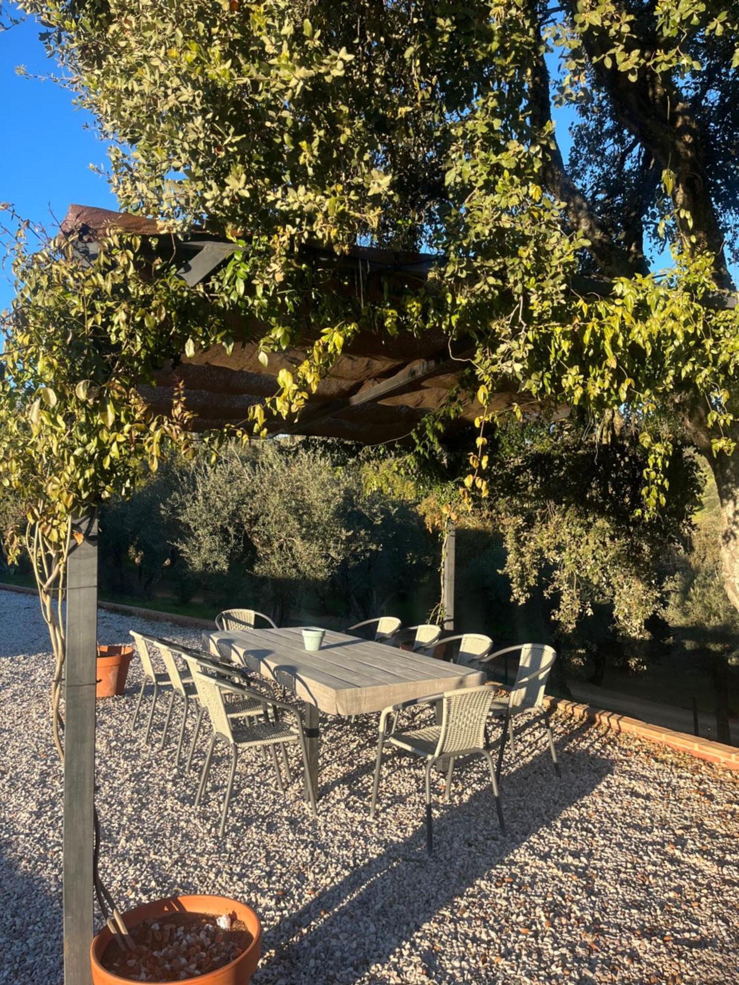 Cortijo Rural Flor De Cazalla カサジャ・デ・ラ・シエラ エクステリア 写真